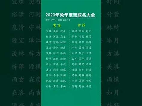 2023水兔寶寶|【2023水兔寶寶】2023水兔寶寶報到！解密兔年生子的神秘面紗